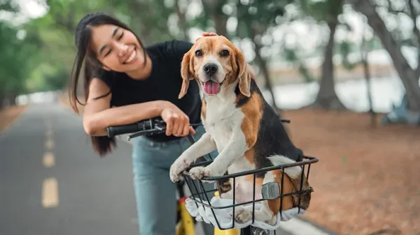 brewery offers paid pawternity leave