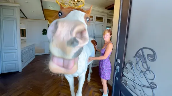 charlie the horse refuses to stay out of moms home